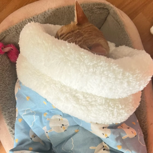 Bolsita acogedora y cómoda para gatos