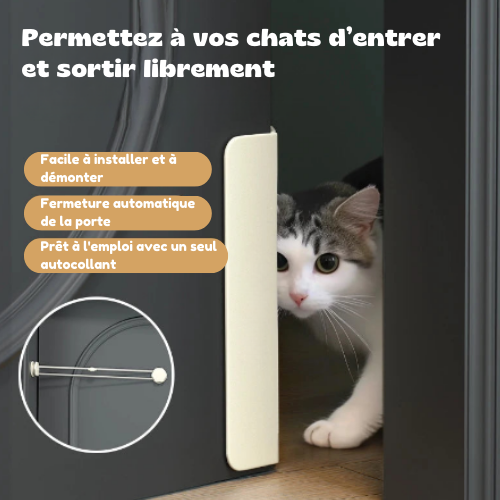 Puerta sin perforación para gatos
