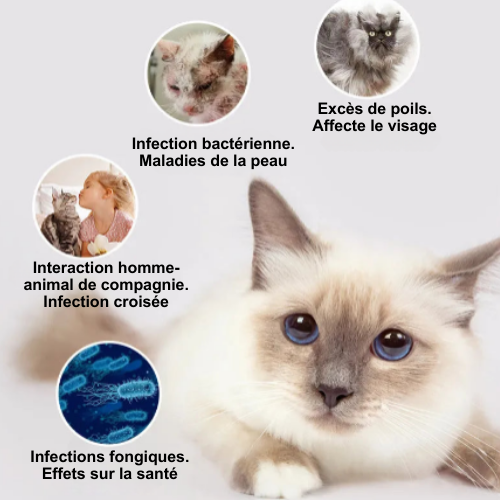 Cepillo de esterilización para un pelaje suave y saludable