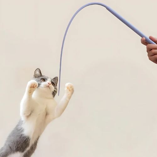 Bastón de juego interactivo para gatos