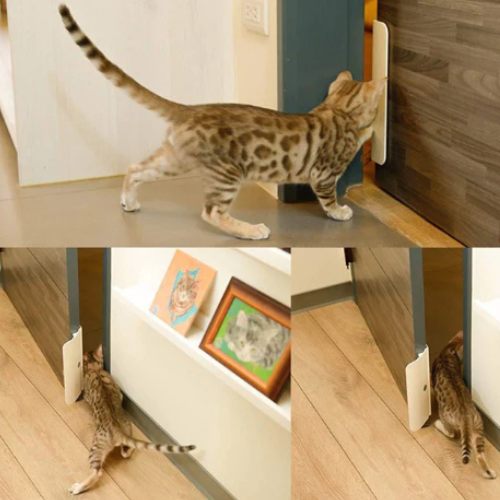 Puerta sin perforación para gatos