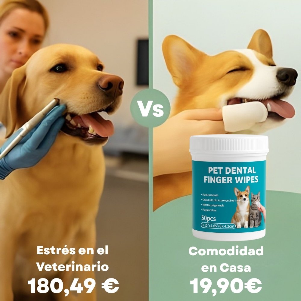 DentaFresh - Toallitas de Limpieza Protección Dental para Perros