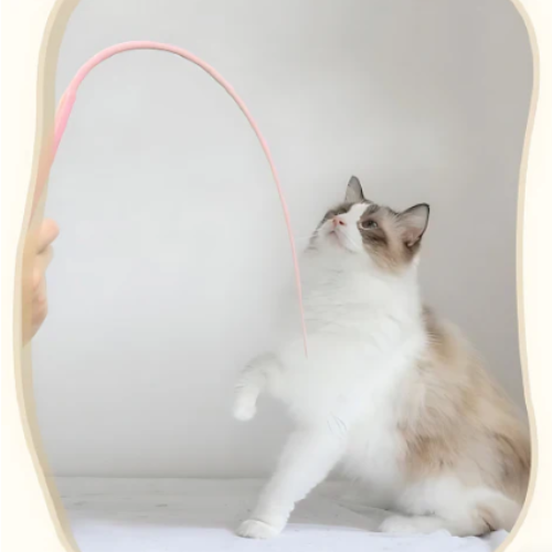 Bastón de juego interactivo para gatos