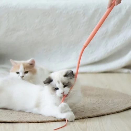 Bastón de juego interactivo para gatos
