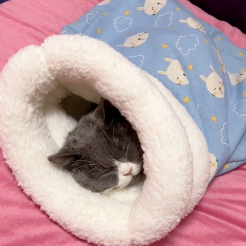 Bolsita acogedora y cómoda para gatos