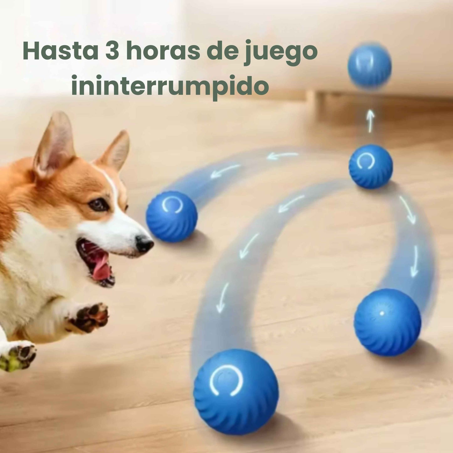 PELOTASALTA - La pelota que salta y cambia de dirección, manteniendo a tu perro activo y entretenido