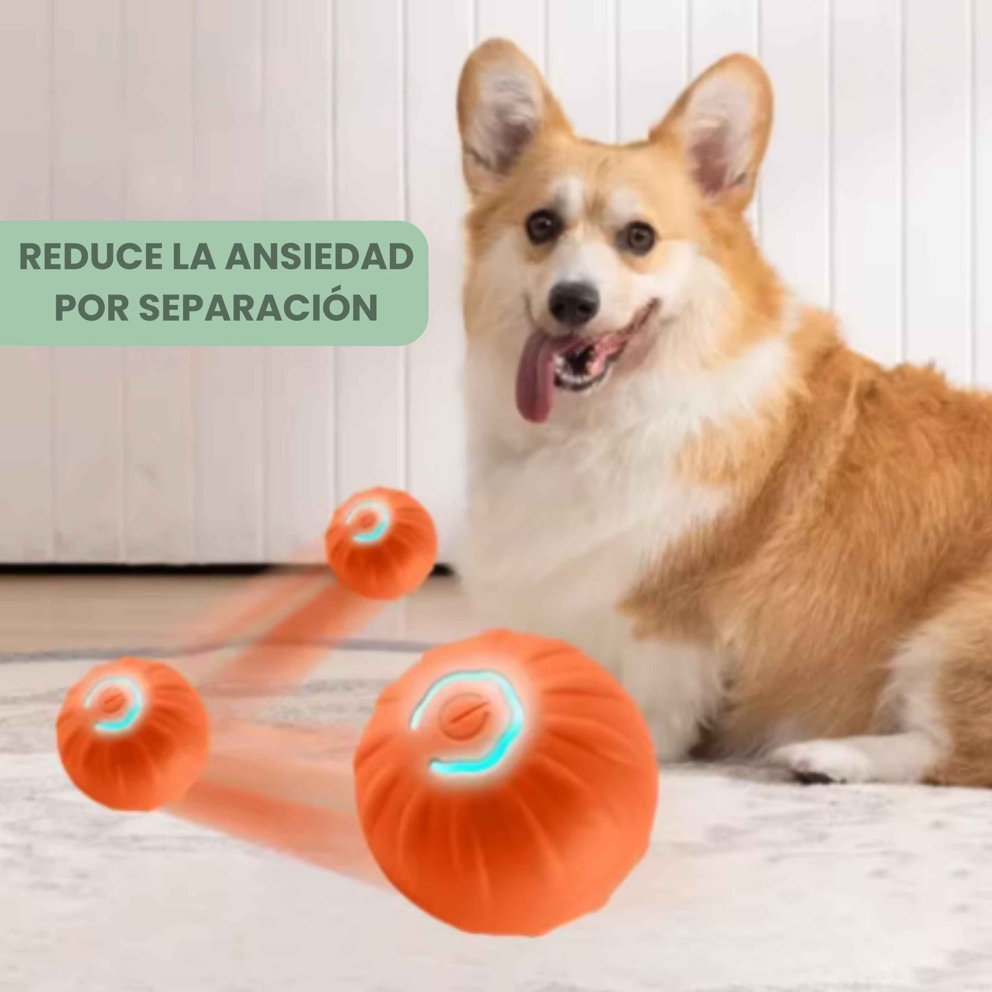 PELOTASALTA - La pelota que salta y cambia de dirección, manteniendo a tu perro activo y entretenido