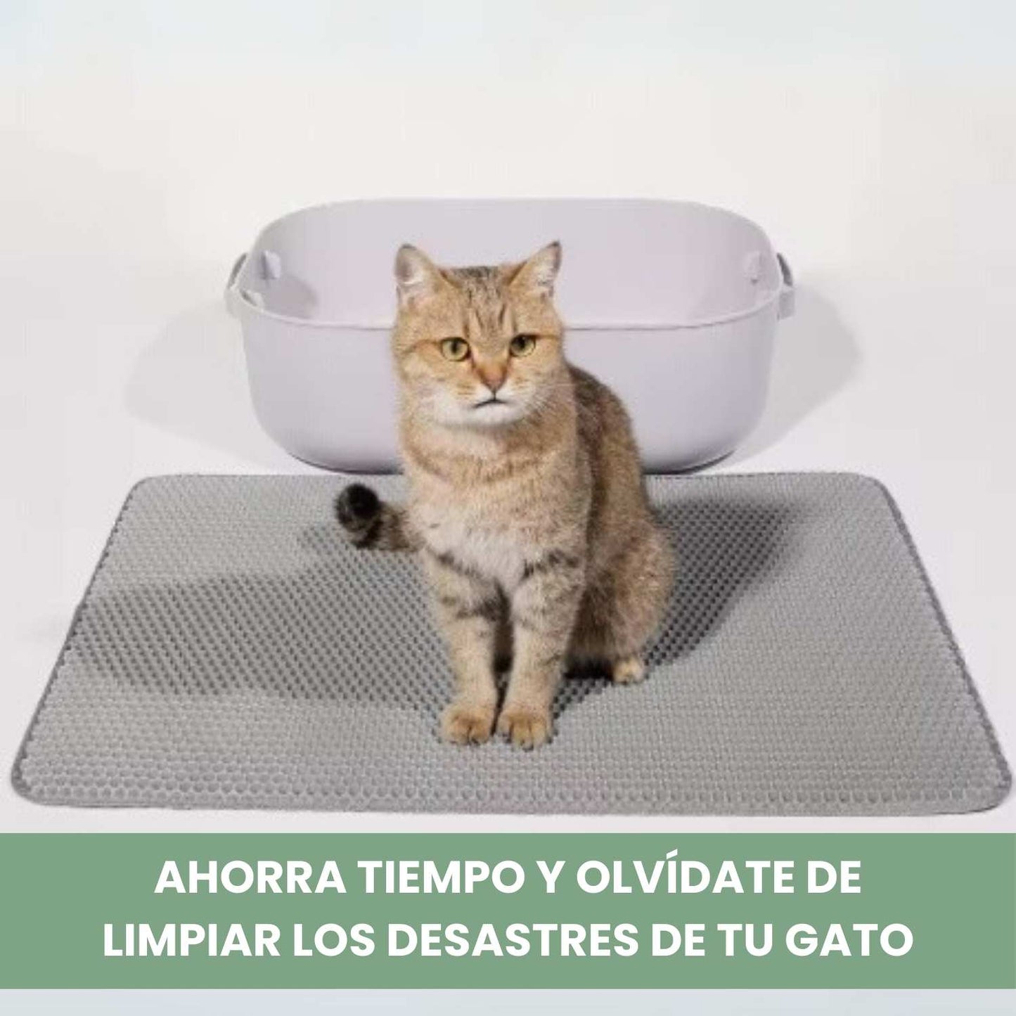 TAPETEMÁGICO - Alfombra de doble capa que mantiene el suelo limpio y recoge eficazmente los restos de arena y comida