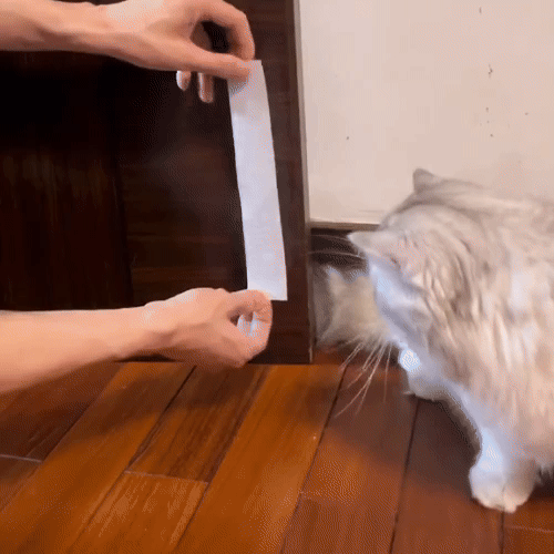Puerta sin perforación para gatos