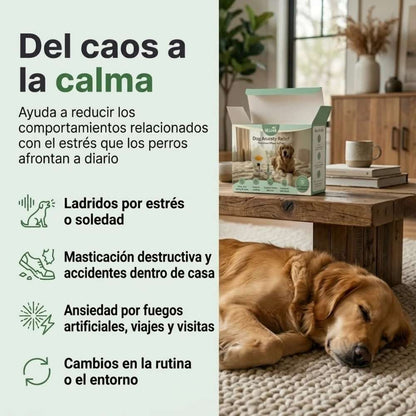 Difusor de Feromonas Veluna para Perros
