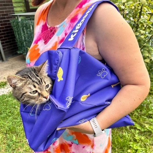 Transportadora Kitastic para gatos