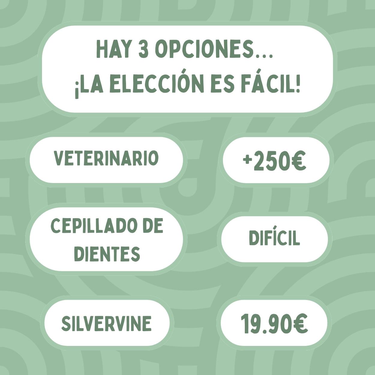 Palitos Dentales de Silvervine para Gatos