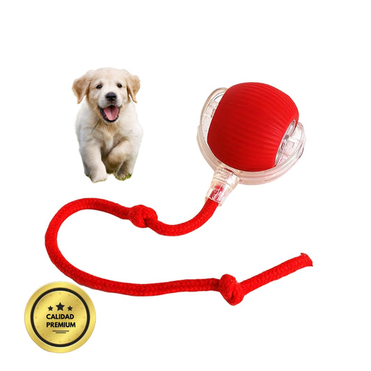 PELOTAVIVA - Pelota inteligente 100% autónoma para perros