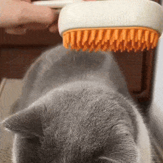 Veluna Steam Brush para gatos