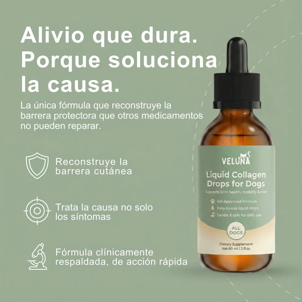 Colágeno Líquido Premium Veluna Para Perros