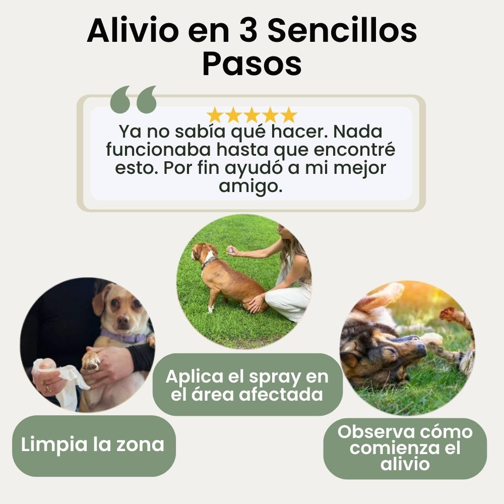 Veluna Spray Aliviador de Piel Avalado por Veterinario para Perros