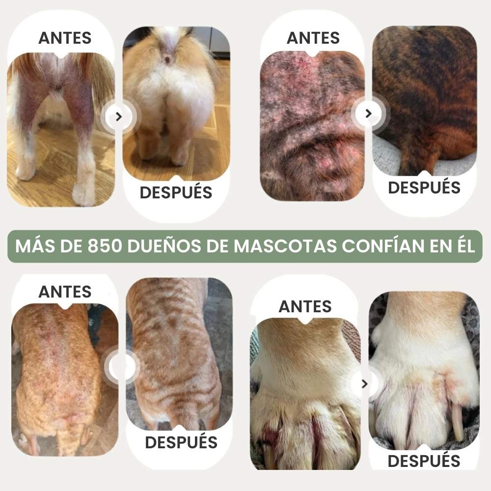 Veluna Spray Aliviador de Piel Avalado por Veterinario para Perros