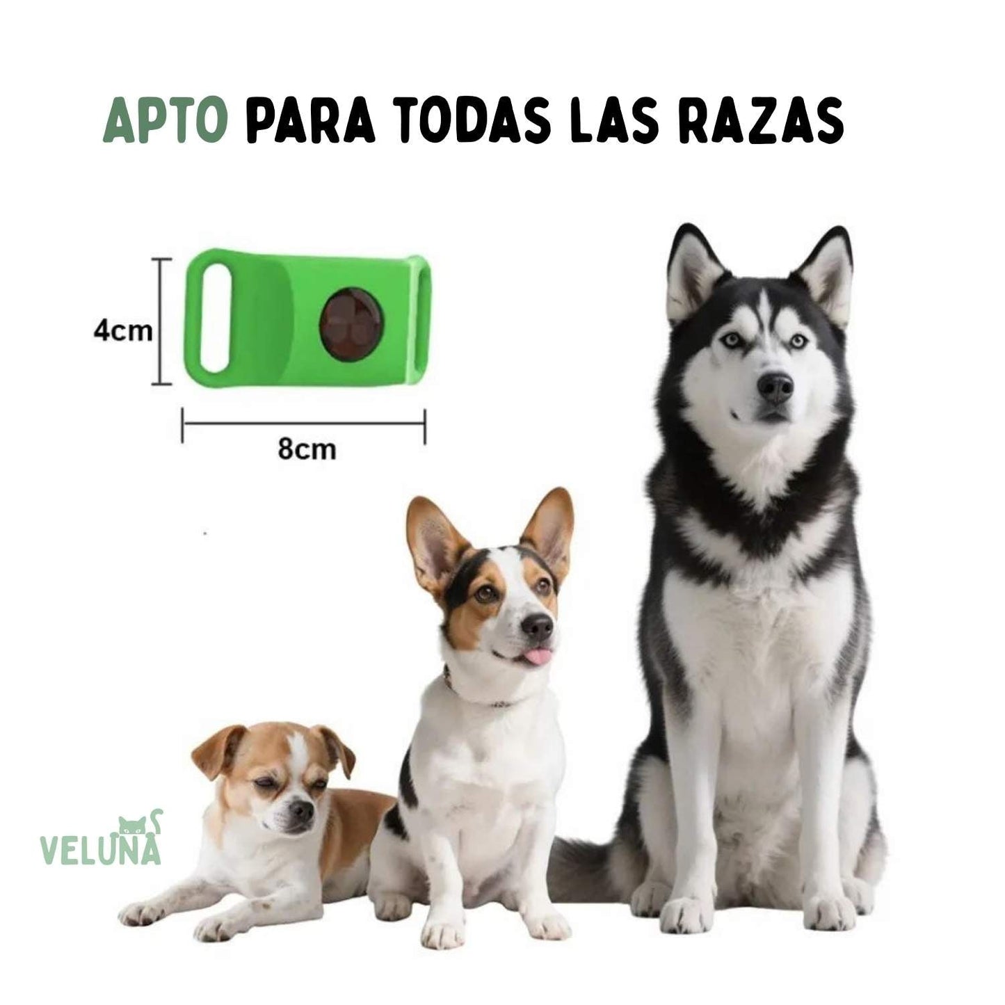 Collar Veluna antipulgas y garrapatas (protección hasta 12 meses)