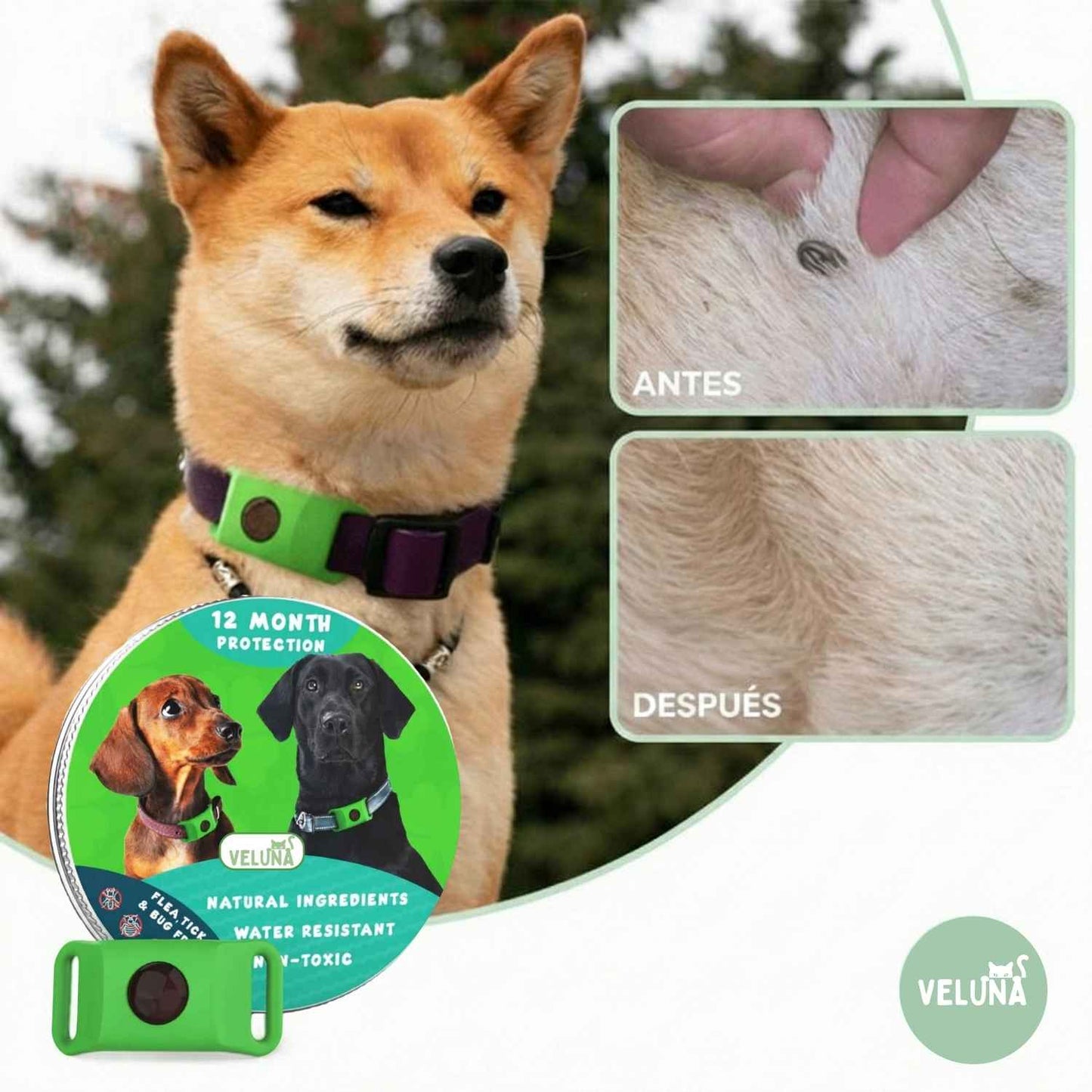 Collar Veluna antipulgas y garrapatas (protección hasta 12 meses)