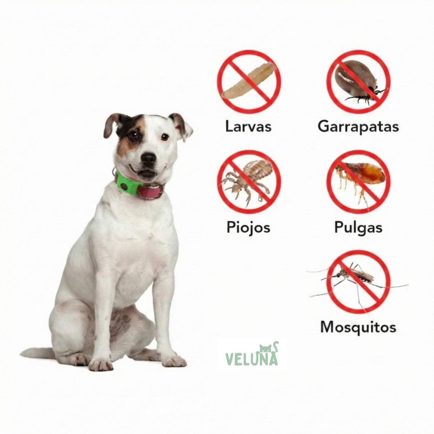 Collar Veluna antipulgas y garrapatas (protección hasta 12 meses)
