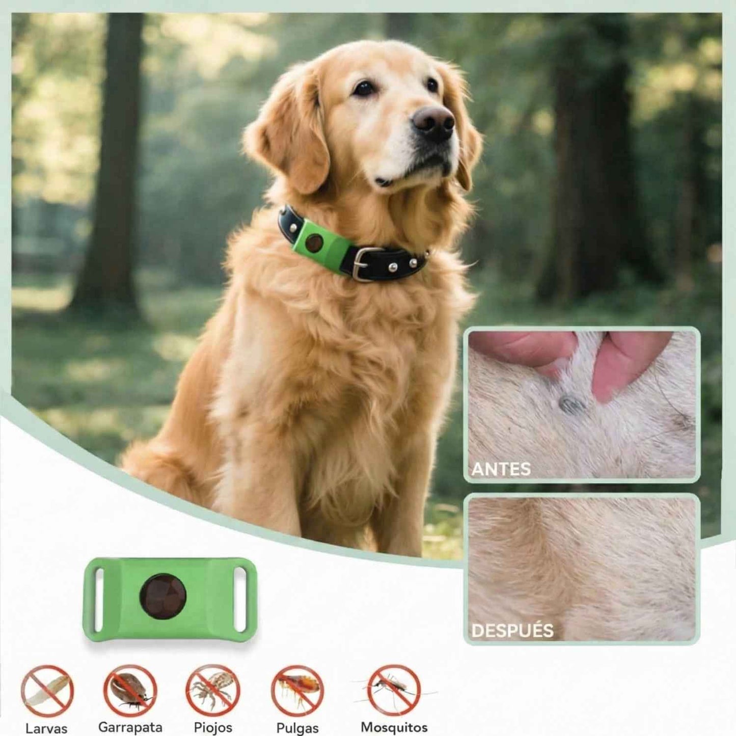 Collar Veluna antipulgas y garrapatas (protección hasta 12 meses)