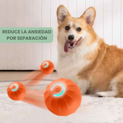 PELOTASALTA - La pelota que salta y cambia de dirección, manteniendo a tu perro activo y entretenido