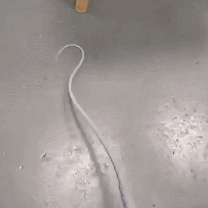 Bastón de juego interactivo para gatos