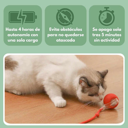 Veluna Smart Ball para Gatos
