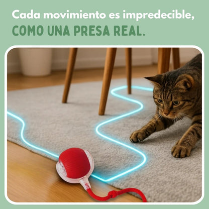 Veluna Smart Ball para Gatos