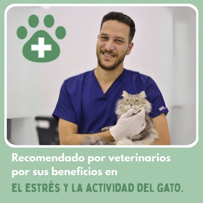 Veluna PelotaViva para Gatos