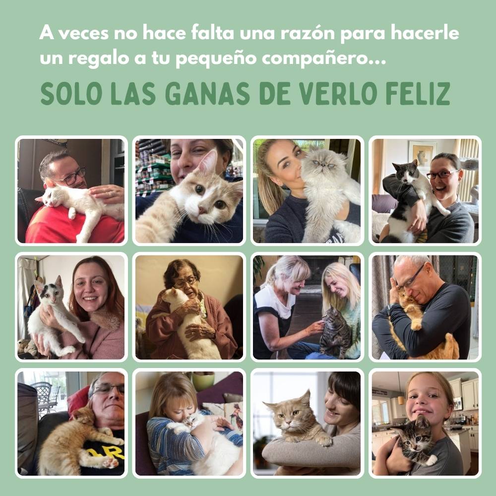 Veluna PelotaViva para Gatos