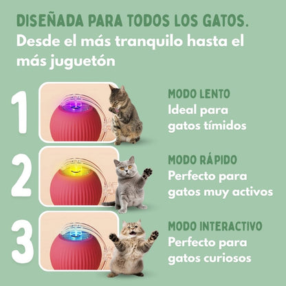 Veluna PelotaViva para Gatos